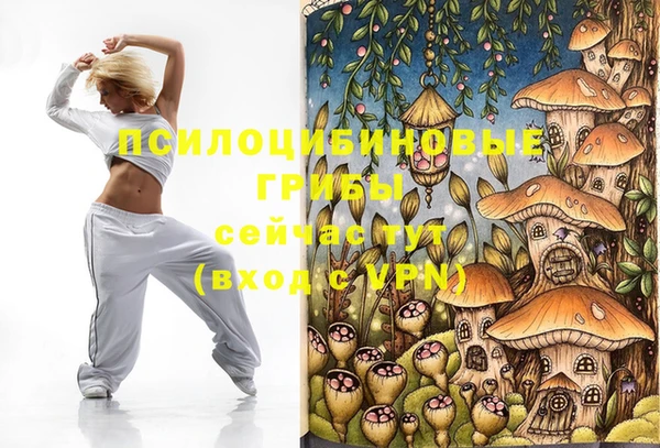 ПСИЛОЦИБИНОВЫЕ ГРИБЫ Беломорск