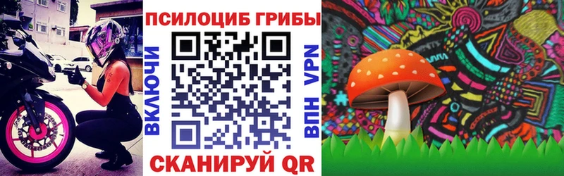 купить   Губкинский  ссылка на мегу ССЫЛКА  Псилоцибиновые грибы Psilocybe 