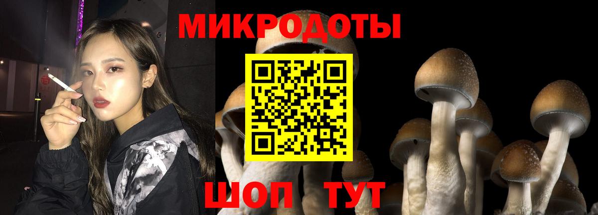 Галлюциногенные грибы Psilocybine cubensis  Вход с VPN  Губкинский  Галлюциногенные грибы прущие грибы 